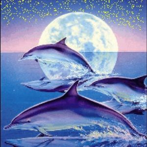 Meet your Posher, Michaela